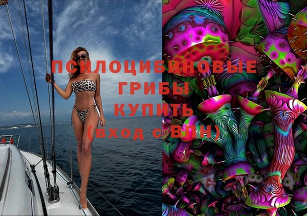 ПСИЛОЦИБИНОВЫЕ ГРИБЫ Белокуриха