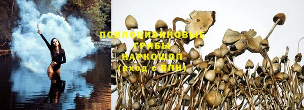 ПСИЛОЦИБИНОВЫЕ ГРИБЫ Белокуриха